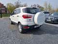 Ford EcoSport 1,5 Ti-VCT PowerShift Trend AUTOMATIK White - thumbnail 6
