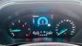 Ford Focus Focus 2.0 EcoBlue SCR ST-Line Business Aut. Schwarz - thumbnail 9