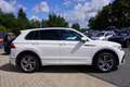Volkswagen Tiguan 2.0 TDI R-Line 4Motion LED Navi ACC AHK Weiß - thumbnail 7