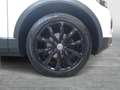 Volkswagen T-Roc Edition TSI Weiß - thumbnail 7