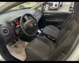 Fiat Punto 1.2 8V 5 porte Lounge 70cv 2016 *NEOPATENTATI* Argento - thumbnail 10
