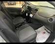 Fiat Punto 1.2 8V 5 porte Lounge 70cv 2016 *NEOPATENTATI* Argento - thumbnail 14