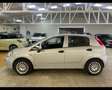 Fiat Punto 1.2 8V 5 porte Lounge 70cv 2016 *NEOPATENTATI* Argento - thumbnail 4