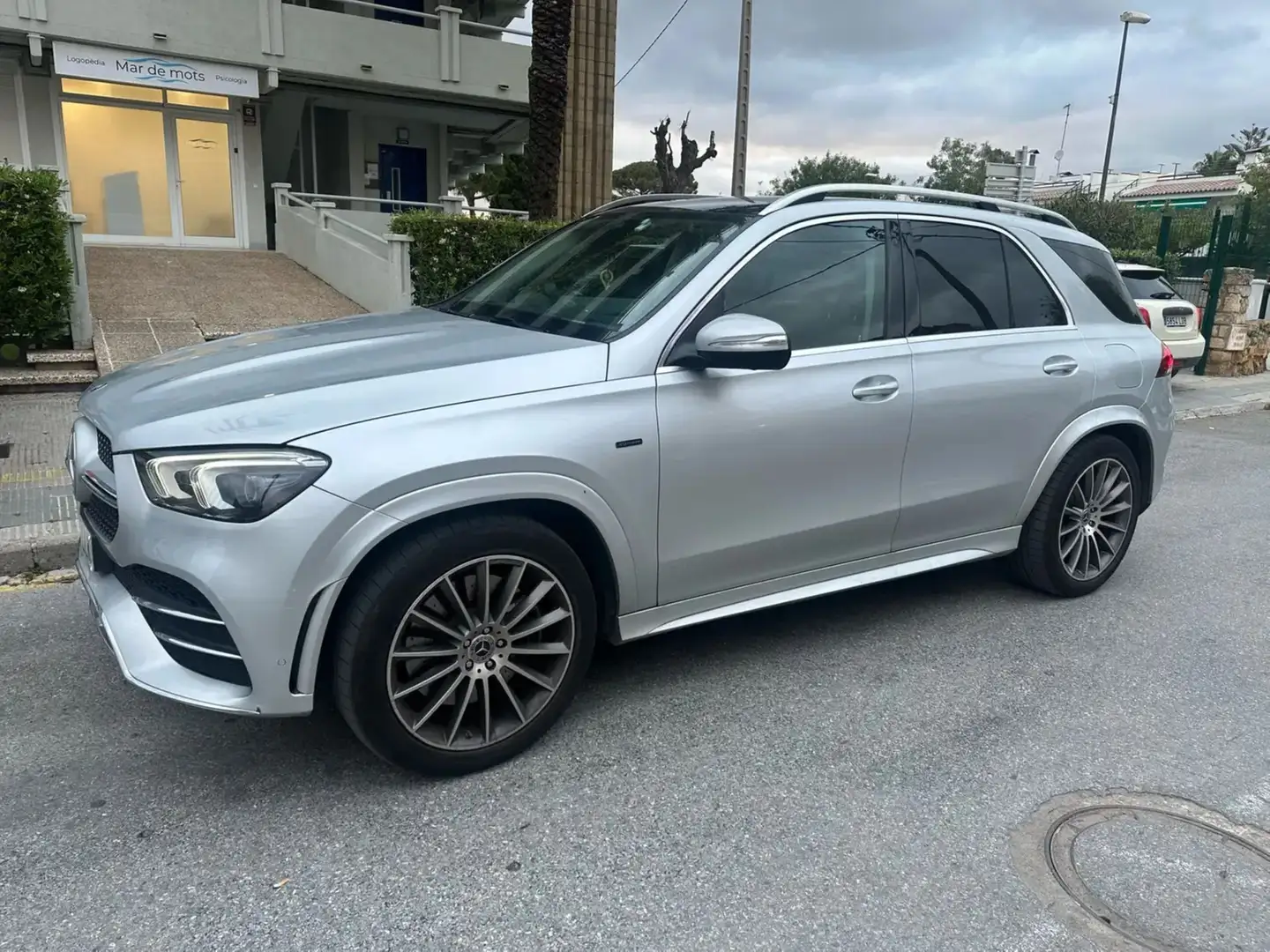 Mercedes-Benz GLE 350 GLE 350de 4Matic Aut. Gris - 1