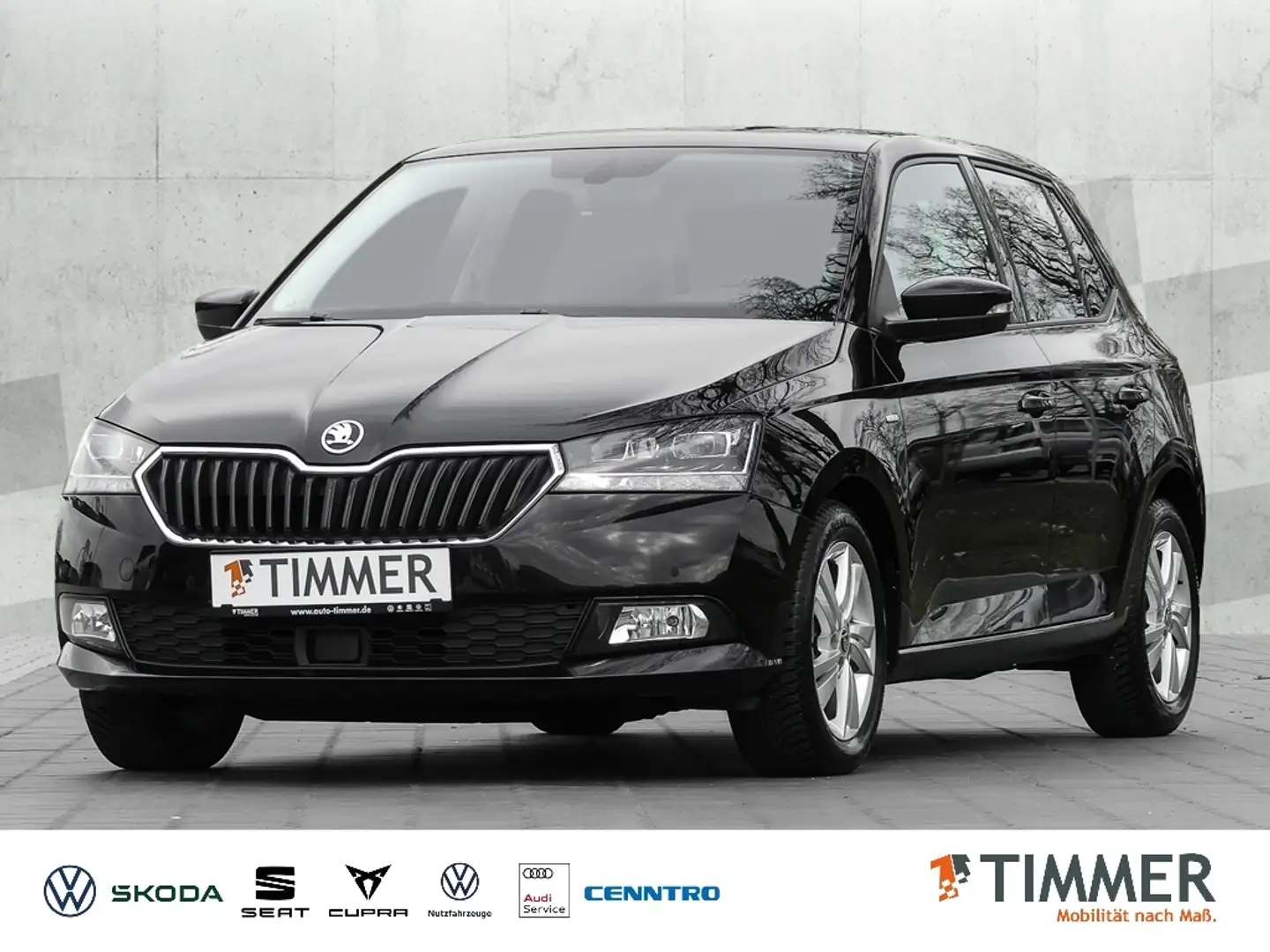 Skoda Fabia III 1.0TSI DSG BEST OF CLEVER*PANO*NAVI*ALLWETTER crna - 1