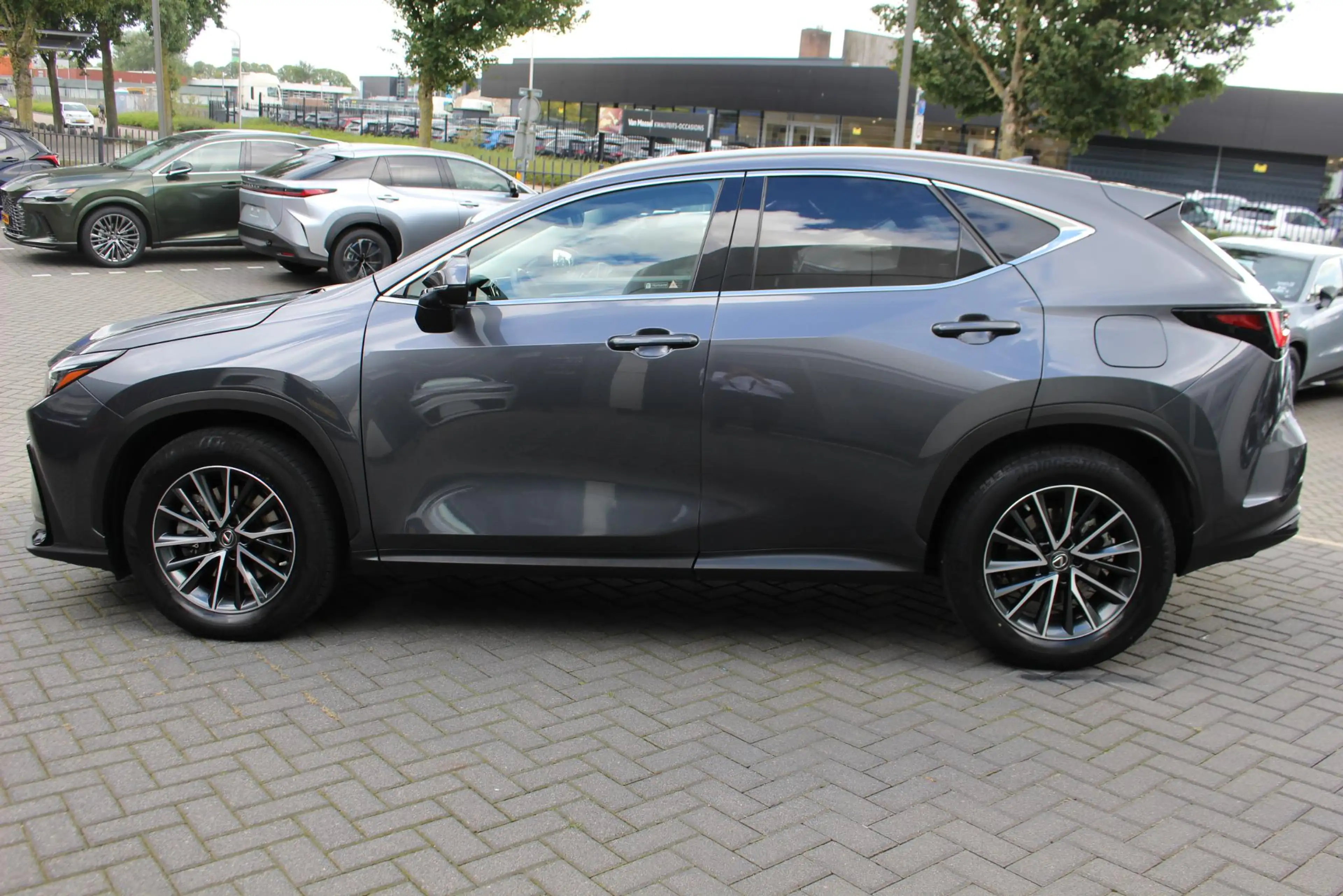 Lexus NX 450h+ AWD Launch Edition NL-AUTO — photo 6