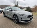 Skoda Octavia Octavia Combi 2.0 TDI DSG Selection AHK NEU 5J. Grijs - thumbnail 3