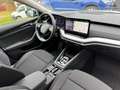 Skoda Octavia Octavia Combi 2.0 TDI DSG Selection AHK NEU 5J. Grijs - thumbnail 11