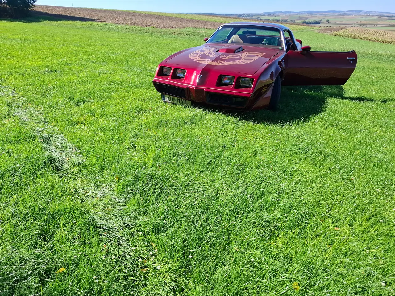 Pontiac Firebird, foto 2