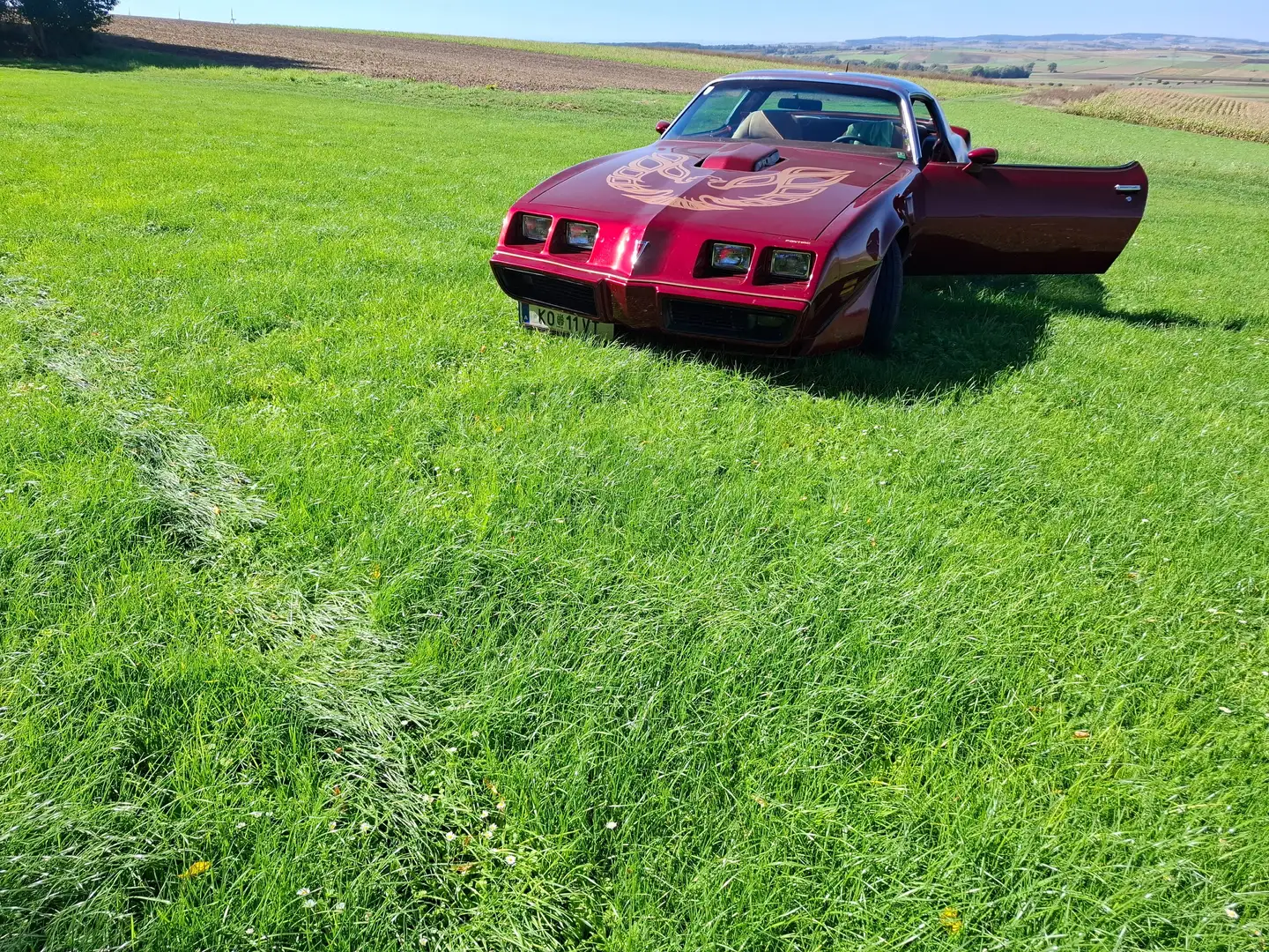 Pontiac Firebird Rot - 2