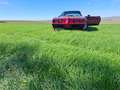 Pontiac Firebird Rot - thumbnail 1