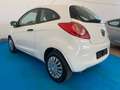 Ford Ka/Ka+ - 1.2cc 69cv - UNIPROPRIETARIO - NEOPATENTATO Bianco - thumbnail 4