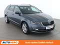 Skoda Octavia 2.0 TDI Style Limited Grau - thumbnail 8
