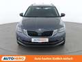 Skoda Octavia 2.0 TDI Style Limited Grau - thumbnail 9