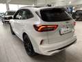 Ford Kuga 2,5 Duratec FHEV ST-Line X Aut. "EDITION 70" Weiß - thumbnail 10