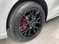 Ford Kuga 2,5 Duratec FHEV ST-Line X Aut. "EDITION 70" Weiß - thumbnail 5