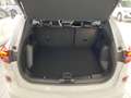 Ford Kuga 2,5 Duratec FHEV ST-Line X Aut. "EDITION 70" Weiß - thumbnail 12