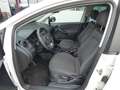 SEAT Altea Chili-Copa 1,6 CR TDI 8-fach Alu Blanc - thumbnail 6