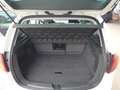 SEAT Altea Chili-Copa 1,6 CR TDI 8-fach Alu Blanc - thumbnail 8