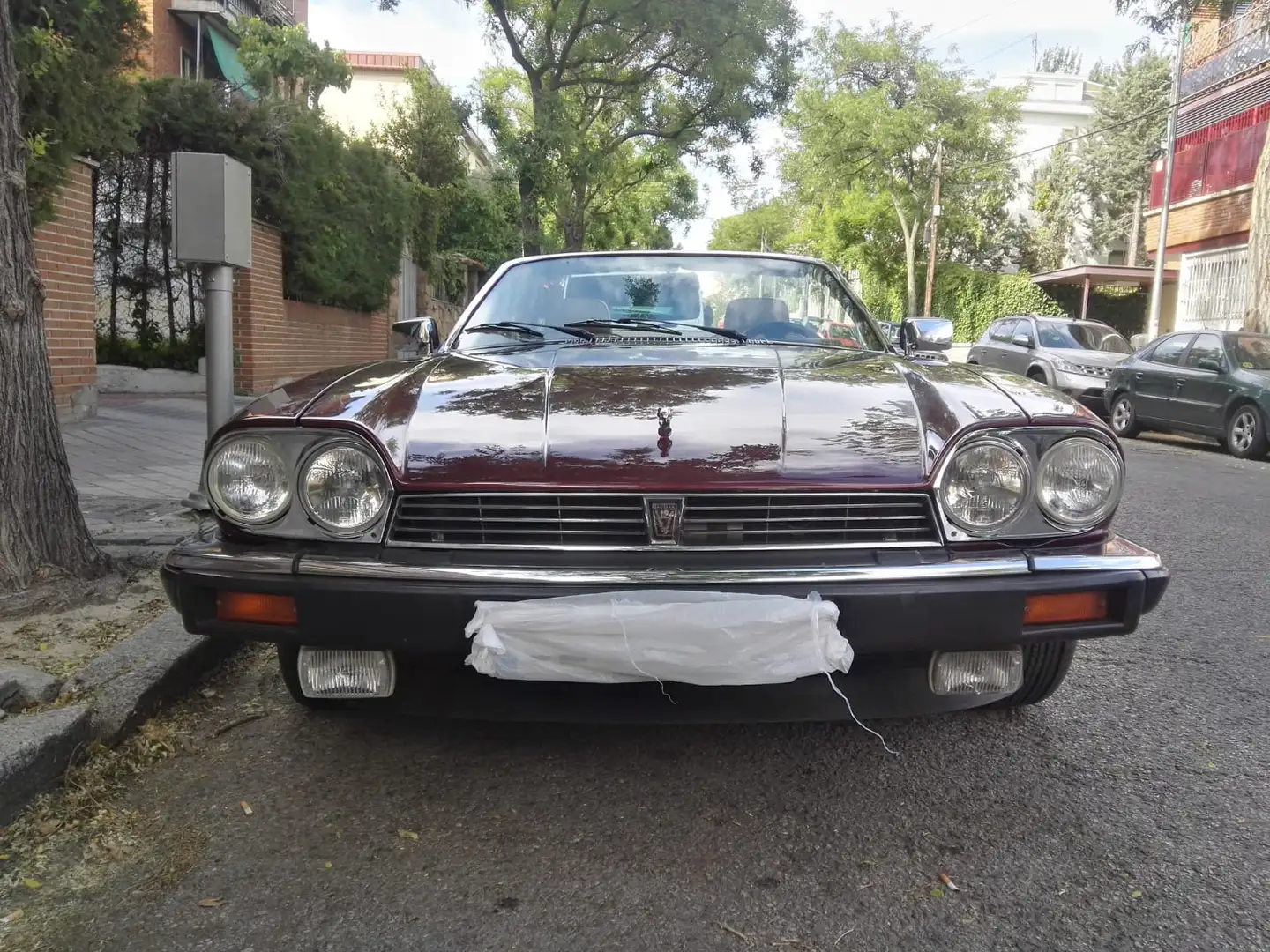 Jaguar XJS XJS HE HE Burdeos - 1