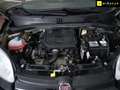 Fiat Panda 1.0 Gse City Live Hybrid Negro - thumbnail 22
