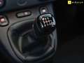 Fiat Panda 1.0 Gse City Live Hybrid Negro - thumbnail 9