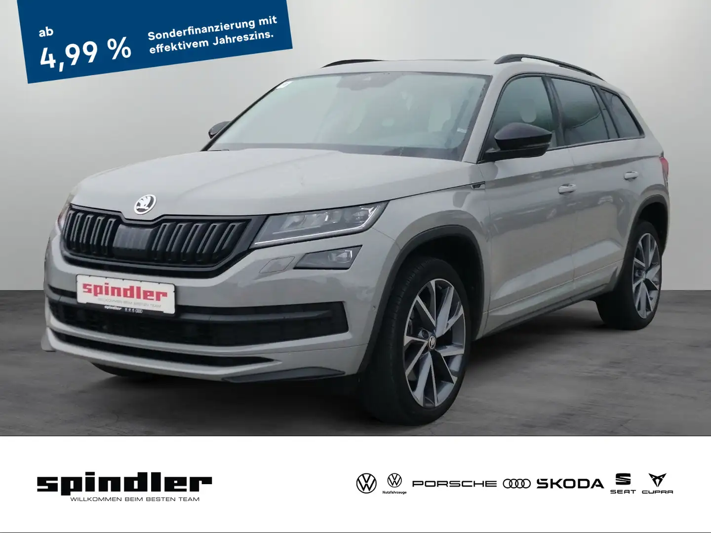Skoda Kodiaq Sportline 2.0 TDI 4x4 DSG/ Pano, LED, AHK Grau - 1