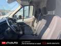 Ford Transit 350 L2H2 Van ambiente FWD Blanco - thumbnail 6