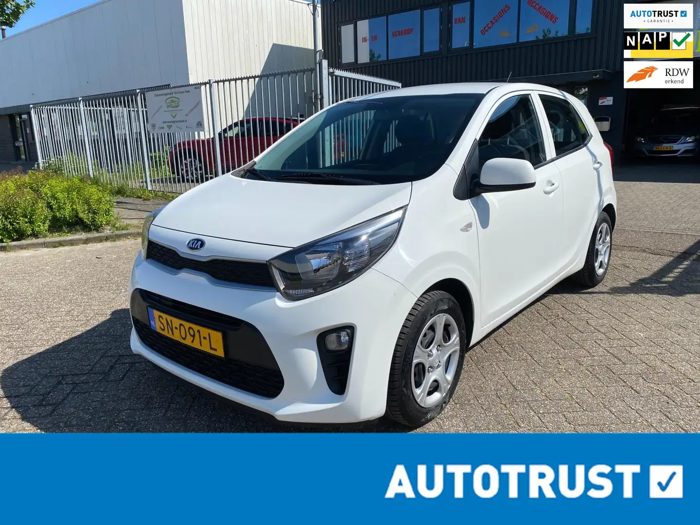Kia Picanto 1.0 CVVT EconomyPlusLine l 2e eigenaar Weiß - 1