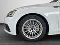 Audi A5 40 TFSI quattro 150(204) kW(PS) S t Weiß - thumbnail 9