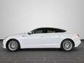 Audi A5 40 TFSI quattro 150(204) kW(PS) S t Weiß - thumbnail 8