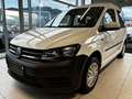 Volkswagen Caddy Austria Plus Vorsteuerabzugsberechtigt Weiß - thumbnail 1