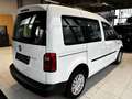 Volkswagen Caddy Austria Plus Vorsteuerabzugsberechtigt Weiß - thumbnail 6