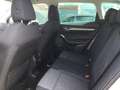 Skoda Karoq 1.5 TSI DSG ACT Style LED NAVI APP GRA AHK Grau - thumbnail 5