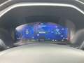 Ford Kuga Titanium 2.5 Duratec FHEV Automatik HUD SHZ Grau - thumbnail 12