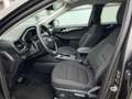 Ford Kuga Titanium 2.5 Duratec FHEV Automatik HUD SHZ Grau - thumbnail 7