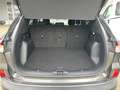 Ford Kuga Titanium 2.5 Duratec FHEV Automatik HUD SHZ Grau - thumbnail 14