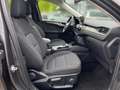 Ford Kuga Titanium 2.5 Duratec FHEV Automatik HUD SHZ Grau - thumbnail 10