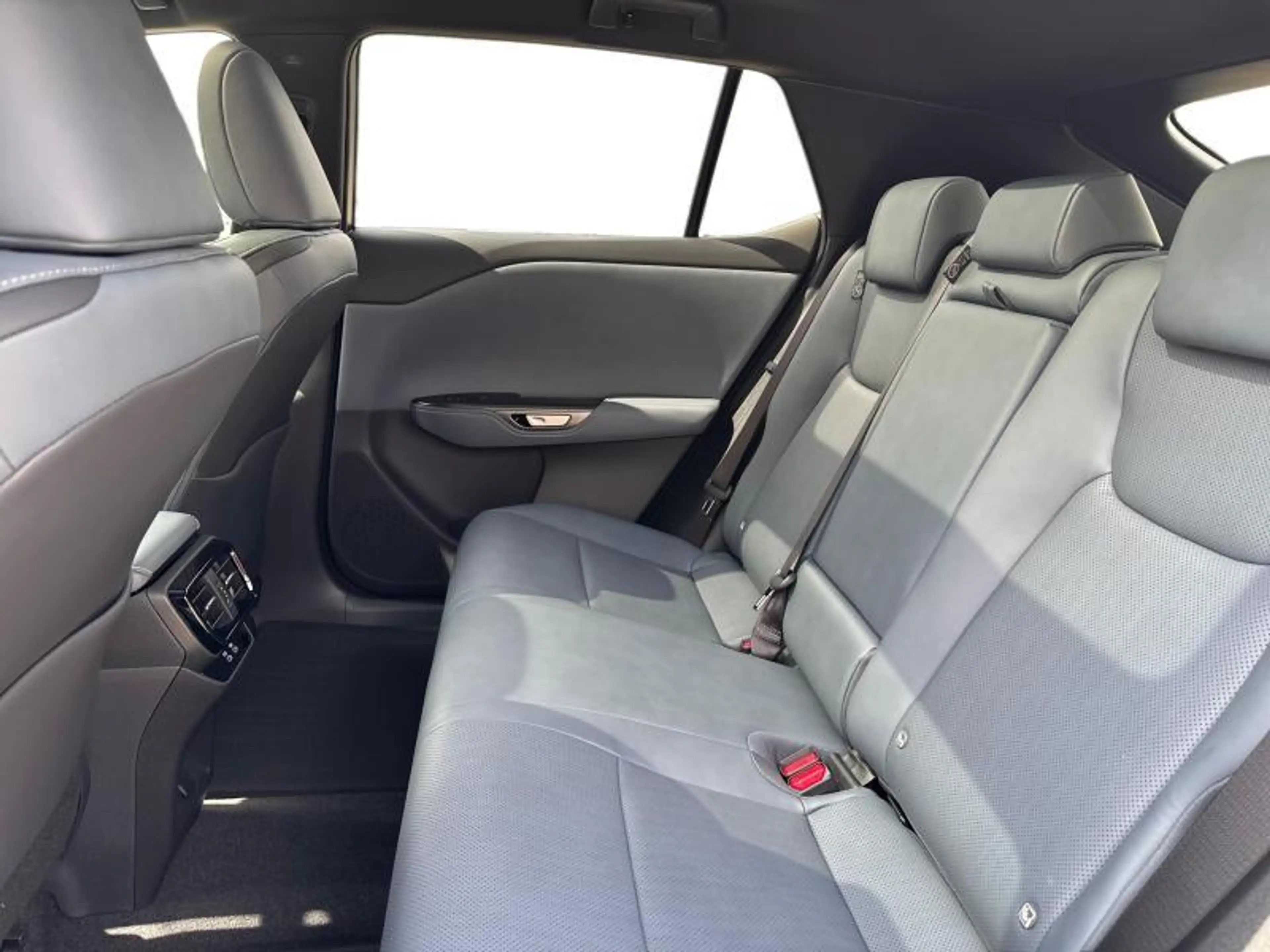 Lexus RZ Executive Line — photo 10
