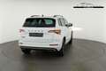 Skoda Karoq Sportline 2.0 TDI DSG Sportline, AHK, Matrix, K... Blanco - thumbnail 18