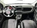 Fiat Panda 1.3 MJT 80 CV S&S 4x4 Bianco - thumbnail 12