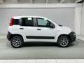 Fiat Panda 1.3 MJT 80 CV S&S 4x4 Blanco - thumbnail 6