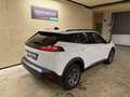 Peugeot 2008 Allure PT 100 ''1. Besitz'' Weiß - thumbnail 5
