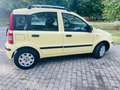 Fiat Panda Panda II  1.2 Dynamic 69cv E5 Giallo - thumbnail 5