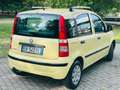 Fiat Panda Panda II  1.2 Dynamic 69cv E5 Giallo - thumbnail 6