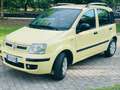 Fiat Panda Panda II  1.2 Dynamic 69cv E5 Giallo - thumbnail 3