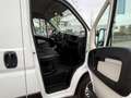 Citroen Jumper 35 L3H2 Profi BlueHDi 130 Weiß - thumbnail 10