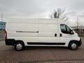 Citroen Jumper 35 L3H2 Profi BlueHDi 130 Weiß - thumbnail 6