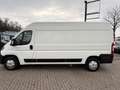 Citroen Jumper 35 L3H2 Profi BlueHDi 130 Weiß - thumbnail 5