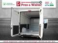Fiat Ducato 35 Maxi L5H2 TEMPOMAT+KLIMA+Einparkhilfe Weiß - thumbnail 16